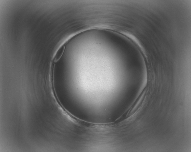 X0000054420910200508121748