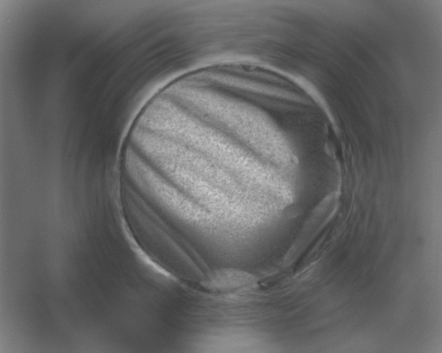 X0000054420911200508121748