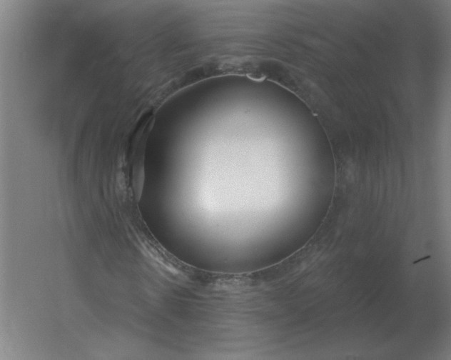 X0000054420914200508121747