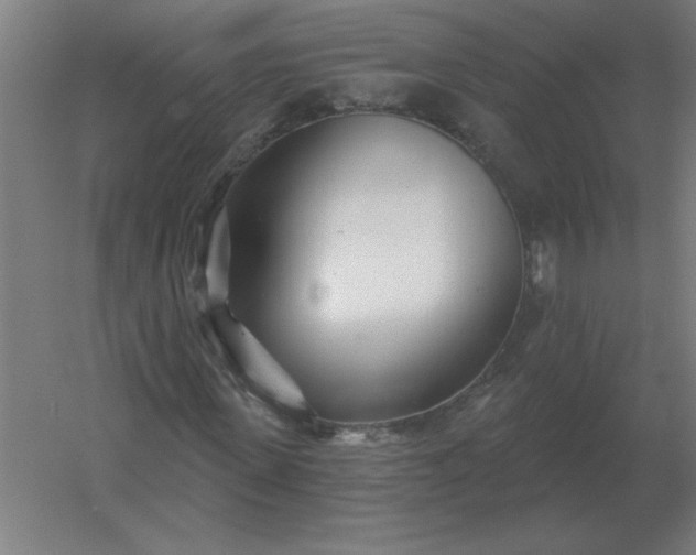 X0000054420915200508121747