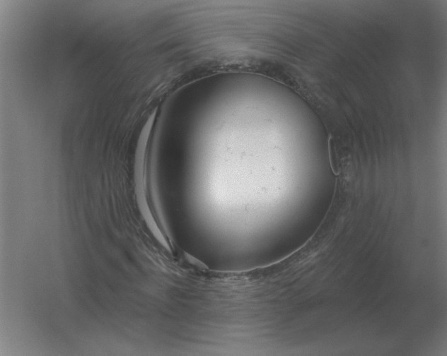 X0000054420916200508121747