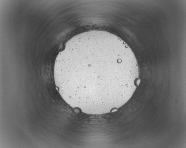 X0000054420918200508121747