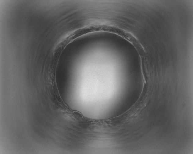 X0000054420919200508121747