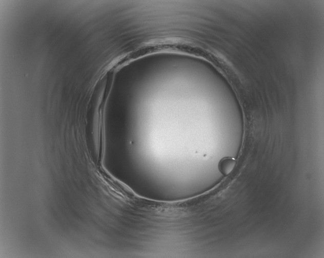 X0000054420921200508121747