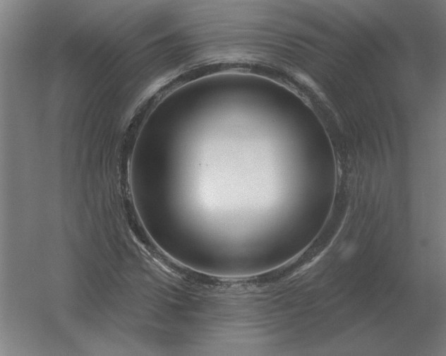 X0000054420922200508121747