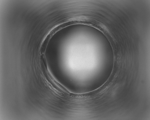 X0000054420923200508121747