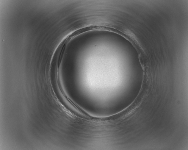 X0000054420924200508121747