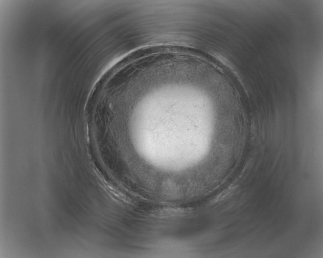 X0000054420925200508121747