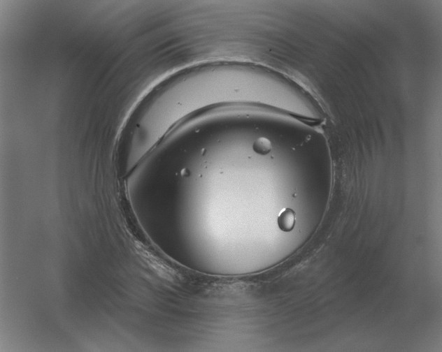 X0000054420926200508121747