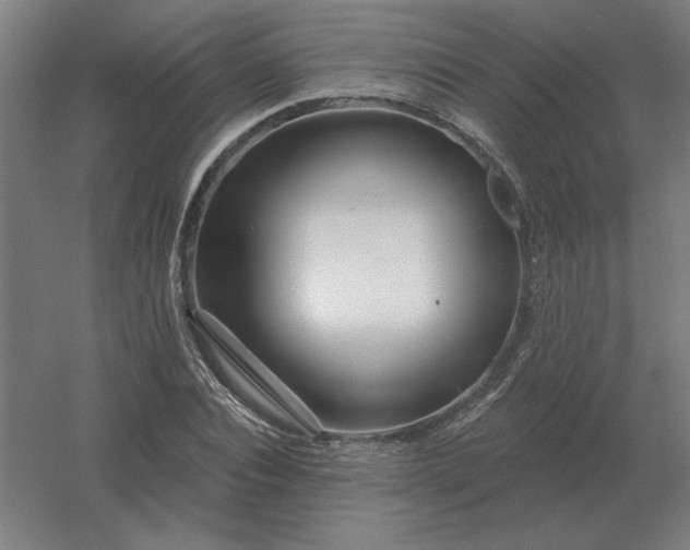 X0000054420928200508121747