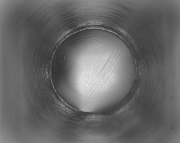 X0000054420929200508121747