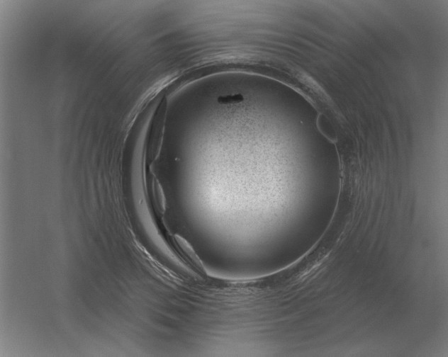 X0000054420930200508121747