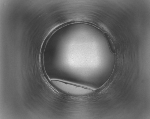 X0000054420932200508121747