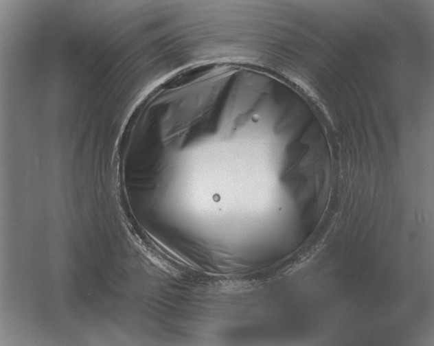 X0000054420933200508121747