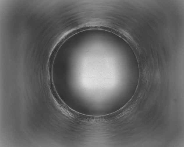 X0000054420934200508121748