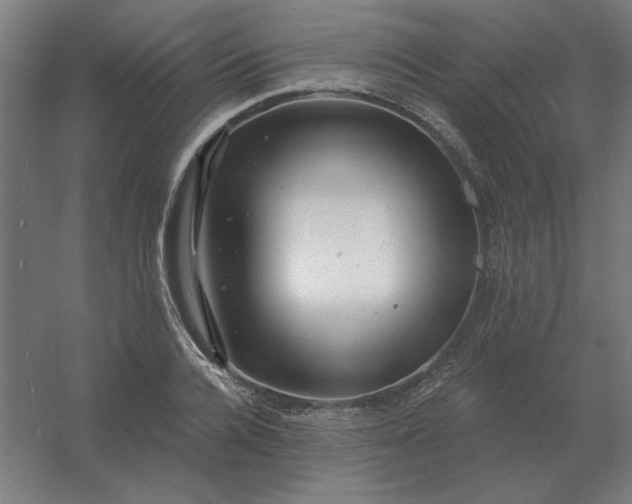 X0000054420936200508121748