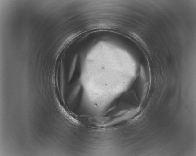 X0000054420938200508121748