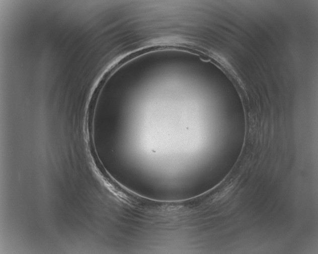 X0000054420939200508121748