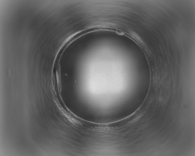 X0000054420940200508121748