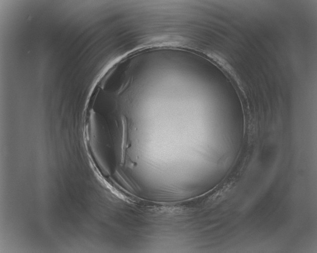 X0000054420941200508121748