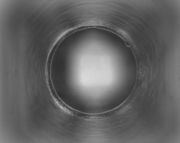 X0000054420942200508121748