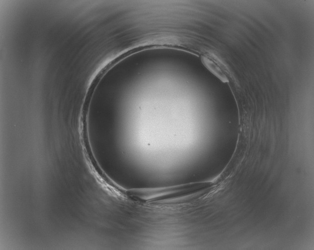 X0000054420944200508121748