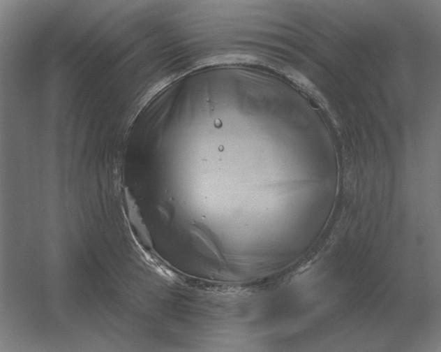 X0000054420945200508121748