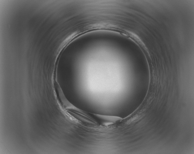 X0000054420946200508121748