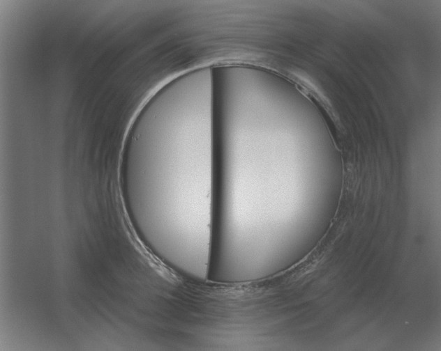 X0000054420948200508121748