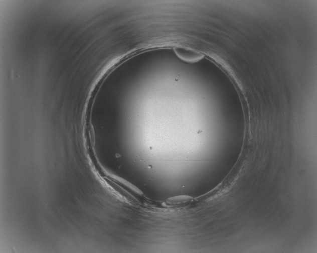 X0000054420949200508121748