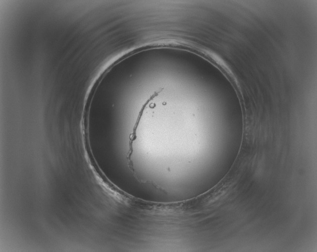 X0000054420951200508121748