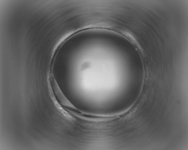 X0000054420952200508121748