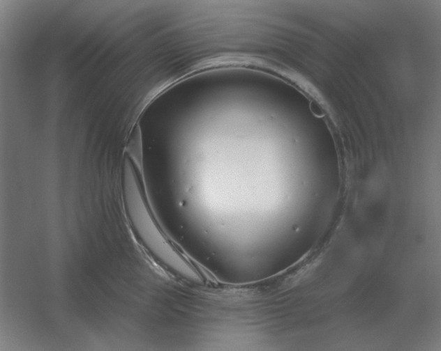 X0000054420953200508121748