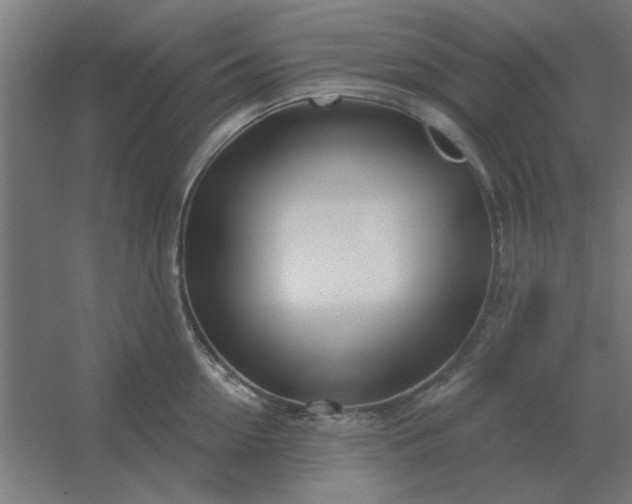 X0000054420954200508121748