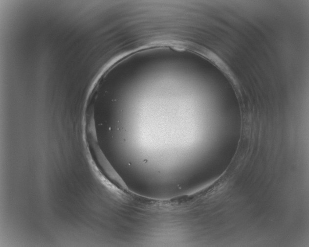 X0000054420955200508121748