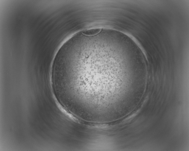 X0000054420957200508121748