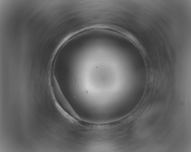 X0000054420958200508121748