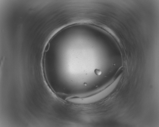 X0000054420959200508121748