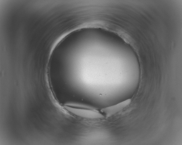 X0000054420960200508121748