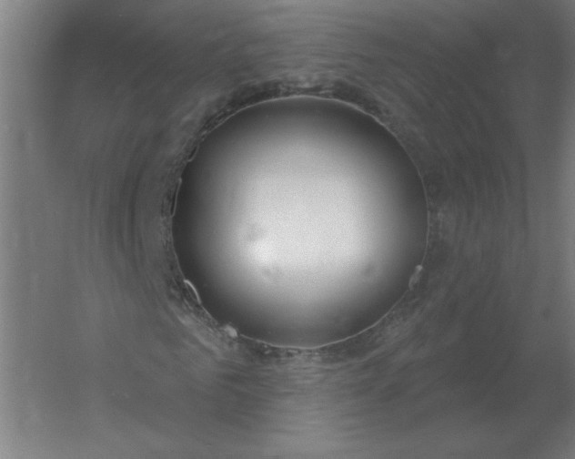 X0000054420961200508121747