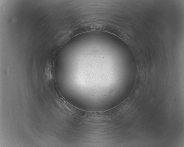 X0000054420962200508121747