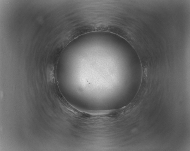 X0000054420963200508121747