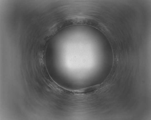 X0000054420964200508121747