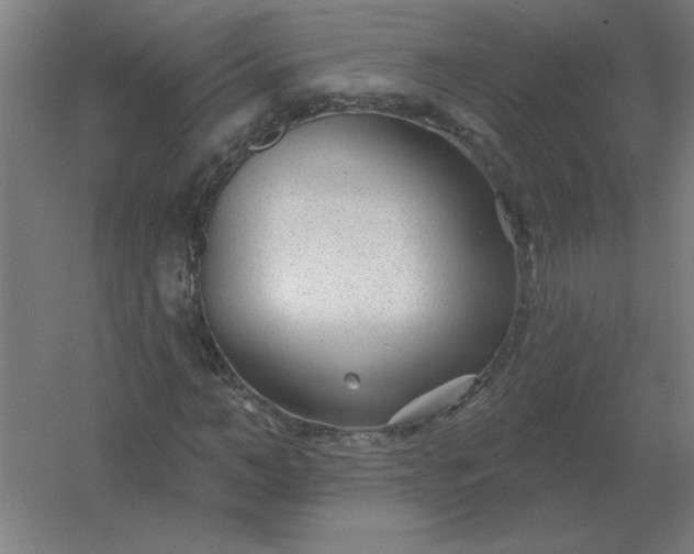 X0000054420966200508121747