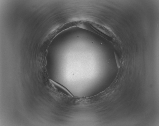 X0000054420967200508121747