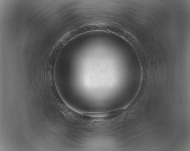 X0000054420968200508121747