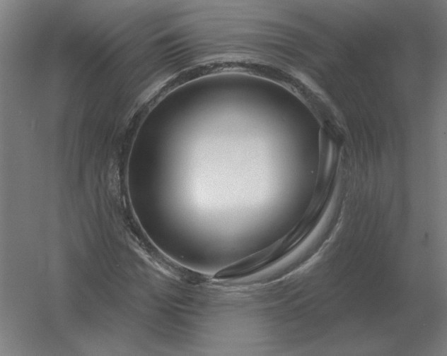 X0000054420969200508121747