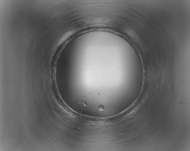 X0000054420970200508121747