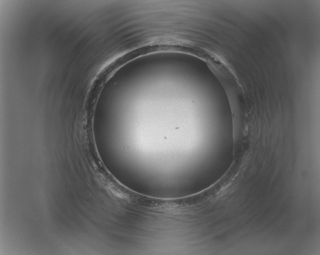 X0000054420971200508121747