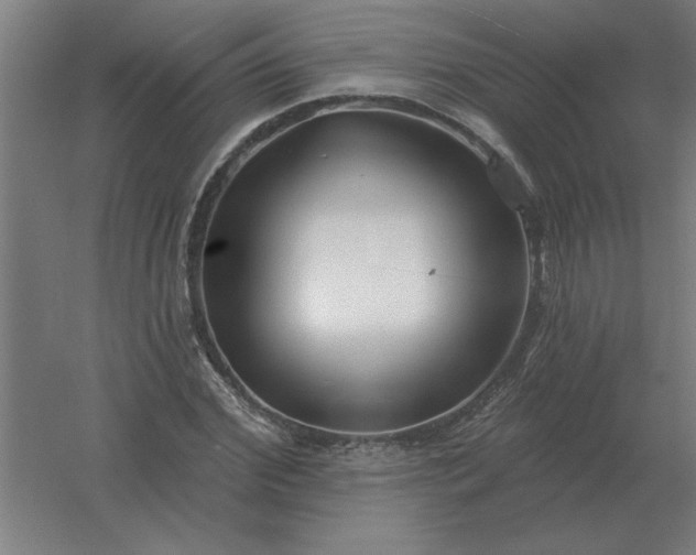 X0000054420972200508121747